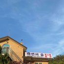 해변의 꿈 이미지