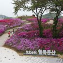 성호푸드 이미지
