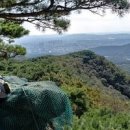 여자혼자 경기도 등산 수원 광교산 시루봉 백운산 등산코스 초보 이미지