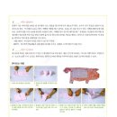 분홍돼지 이미지
