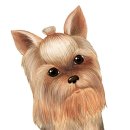 닥터멍동물병원 이미지