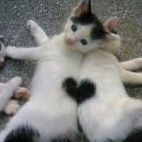 김순옥농장 이미지