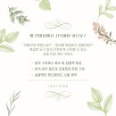 마음을 전하는 나만의 캘리그라피 티스토리