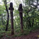 산새들어린이집 이미지