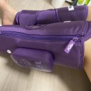 초복이네동물농장 | 너무너무 덥지만 열심히 살아가는게 퀸의 마인드 👈