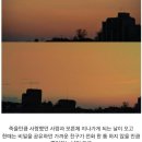 그냥봄날 이미지