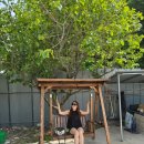 해인농장 이미지