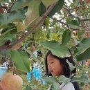 박달농원 이미지