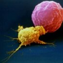 바디필 헬스 스피닝 이미지