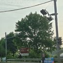 제천친환경(에콜리안제천골프장(대중제)) | 에콜리안제천cc 가성비 최고 18홀 노캐디 7만원 주변 맛집 광수네집