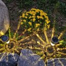 외갓집농장 이미지