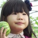 박인규농장 이미지