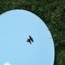 북청슈퍼 이미지