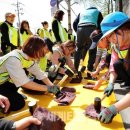 서림초등학교 정문 앞 이미지