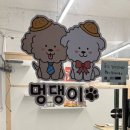 멍댕이 애견유치원 이미지