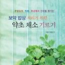 임피집 이미지