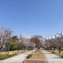 동춘2공원 이미지