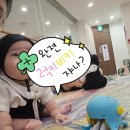 감성톡톡 자연물 놀이 | [문화센터] 자연물감성놀이 까르까르 수원 AK 후기 (6개월 아기)