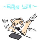 220603 쥬언이의 로스트아크 (로아 콘서트 후기 스압)