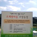 창원농장 이미지