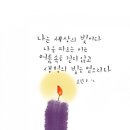 메타노이아2 이미지