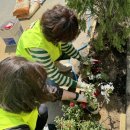 정자1동 행정복지센터 이미지