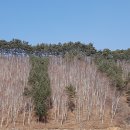 사조보건진료소 이미지