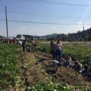 참빛농장 이미지