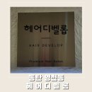 비전프라자 옆 | 동탄 미용실 / 영천동 헤어디벨롭 레이어트컷 대만족 후기