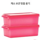 타파웨어신세계