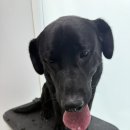 GOODPY(굿피) 이미지