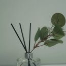 레몬컴퓨터 - 화성시 행정서로3길 34-22 | [선물후기] 코코도르 포레스트 200ml 레몬유칼립투스 향 후기