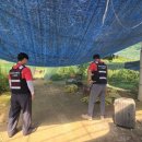 금산농장 2 이미지