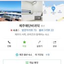 제주애단비 귀덕 이미지