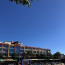 문성초등학교 | [ 독산동 경희대 참 태권도 ] 서울문성초등학교 가을운동회 응원 다녀온 후기