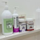 다온냥 | [공지] 강남 고양이 무마취 미용, 교감미용이라 가능했던 하루 – 다온냥 후기 🐾