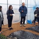 태인농장 이미지