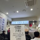 에버랜드 동물병원 | 일상일기 (3년차 정기검진/ 에버랜드 워킹사파리/ 월요장터/ 제천결혼식/ 8시간 위경련 응급실엔딩)