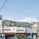 영일대북부시장 국화화장실 | [포항맛집추천] 포항 영일대 물회 맛집 새포항물회집, 전통 고추장 물회 제대로 먹고 온 후기!