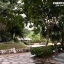 푸에르토 아줄 이미지