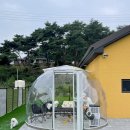 알로하오에 이미지