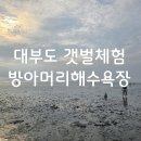 대부도 관광안내소 | 뜻밖의 힐링 대부도갯벌체험 방아머리해수욕장 다녀왔어요!