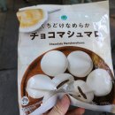 도쿄 디즈니랜드, DPA 40주년 패스 13개 놀이기구 탄 후기 추천 순위 퍼레이드 식당 알린모찌