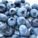 산수고원 이미지