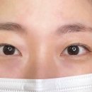 뮬라인 이미지