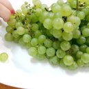 경북통상 농산물 산지유통센터 이미지