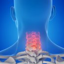 바로튼튼마취통증의학과의원 이미지