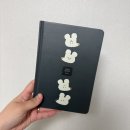 가현뽑기뽑기 | 대학교 4학년이라 학교에 갑니다.