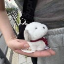 곰태지 | 8월 사랑을 했다…잘했다….사랑을 또 했다… 잘했다…. 사랑을 또 또 했다… 그만 좀 해라