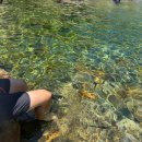 우니메이카 산청점 | 경상남도 지리산 계곡캠핑 '우니메이카산청점' 후기